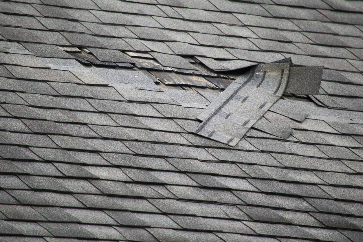 Shingles curling up on home